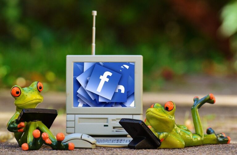 frogs, computer, facebook